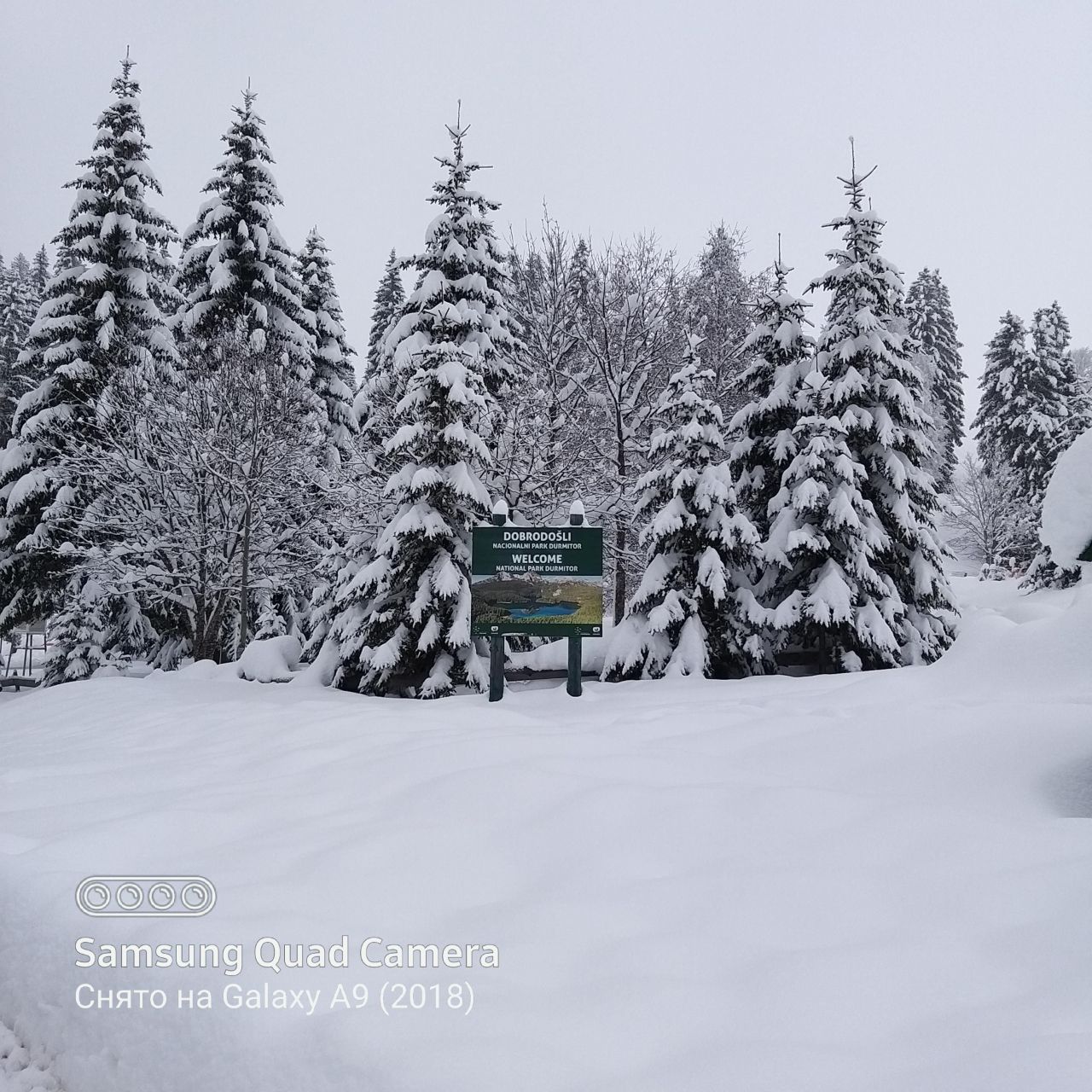 Land in Zabljak, Montenegro, 1 927 m² - picture 1