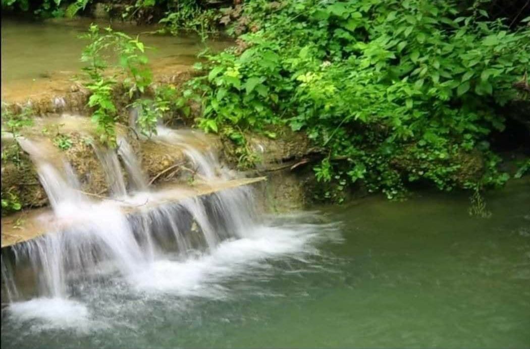 Domaine à Ljig, Serbie, 280 m² - image 8