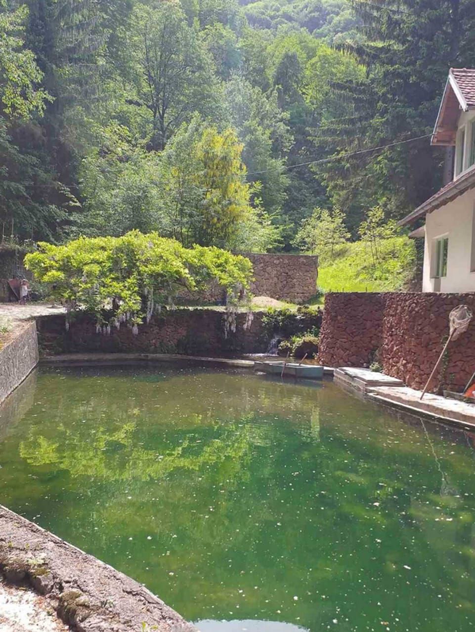 Domaine à Ljig, Serbie, 280 m² - image 7