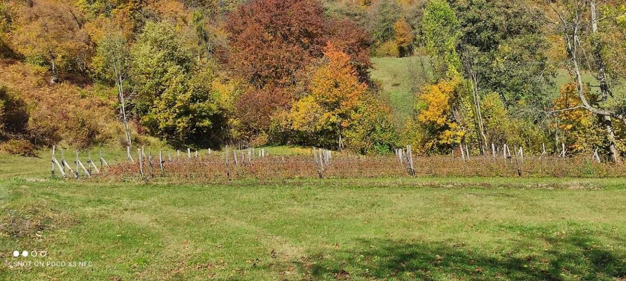 Grundstück in Kolasin, Montenegro, 166 663 m² - Foto 7