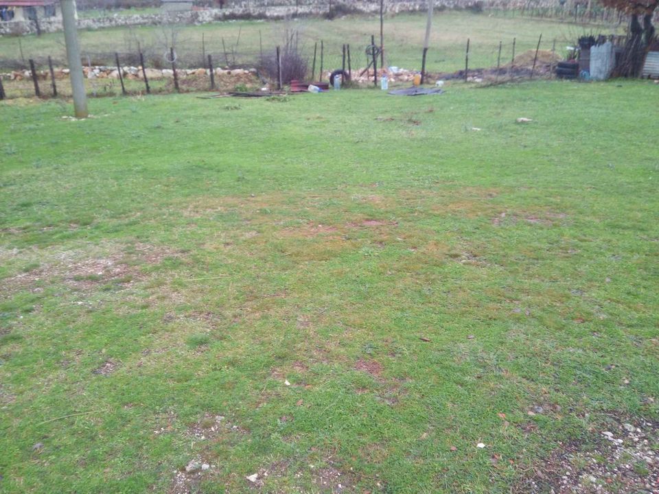 Land in Ulcinj, Montenegro, 9 600 m² - picture 3