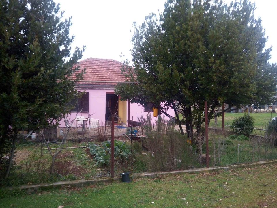 Land in Ulcinj, Montenegro, 9 600 m² - picture 5