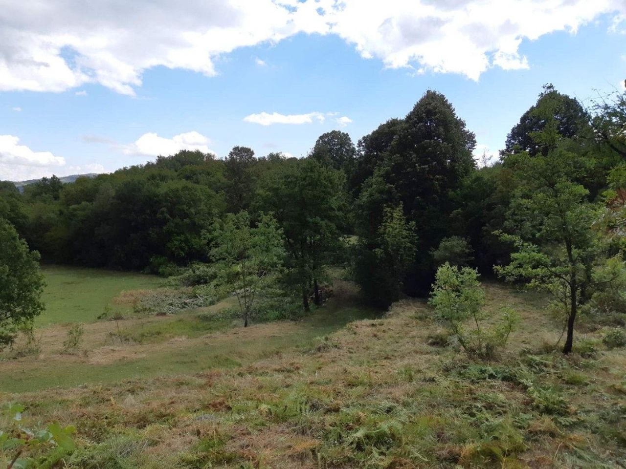 Terrain à Cetinje, Monténégro, 123 880 m² - image 3