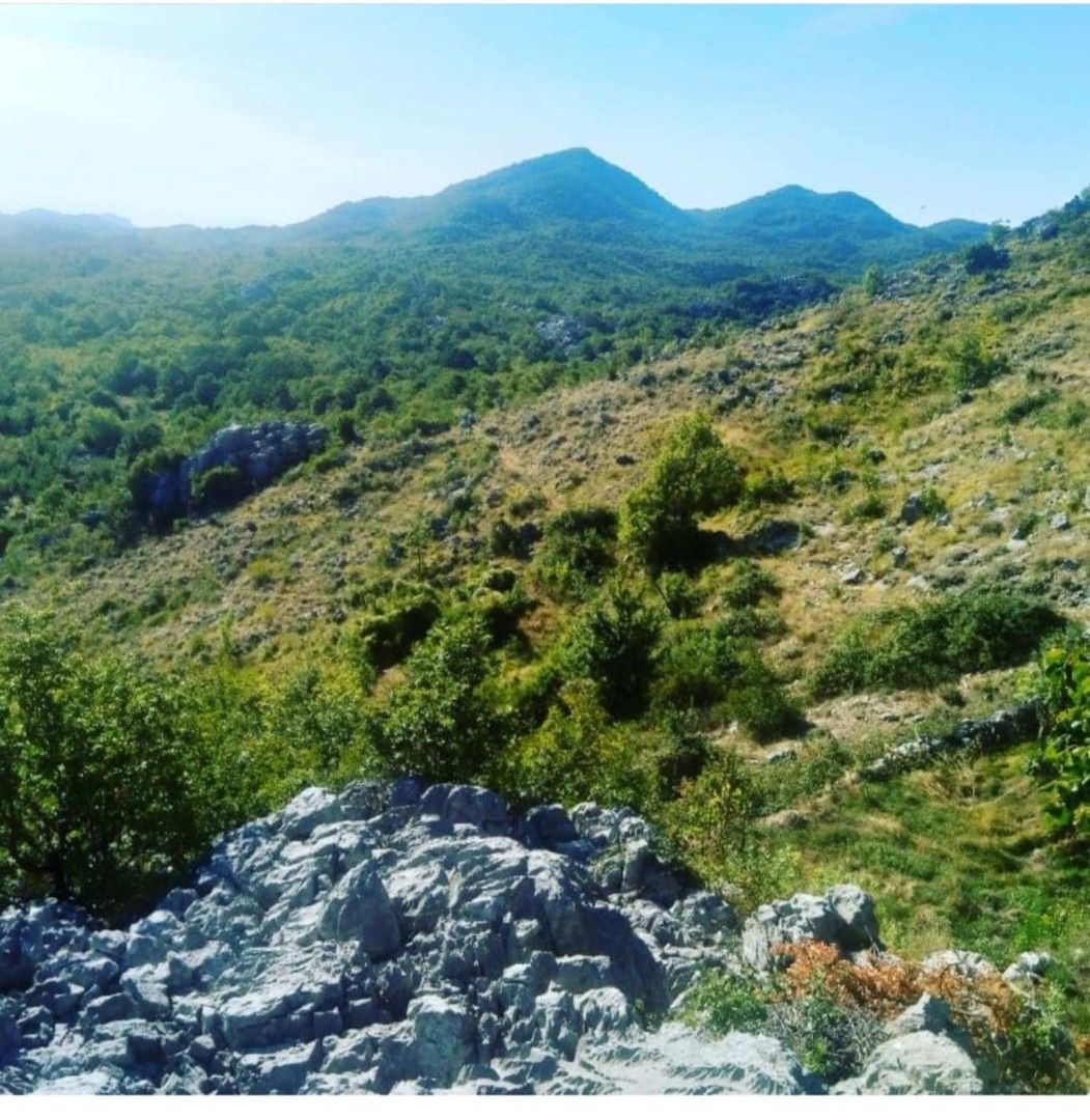 Terrain à Cetinje, Monténégro, 123 880 m² - image 5