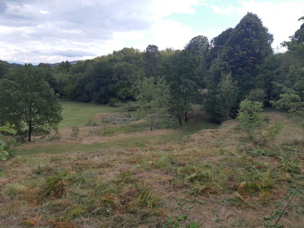 Terrain à Cetinje, Monténégro, 123 880 m² - image 8