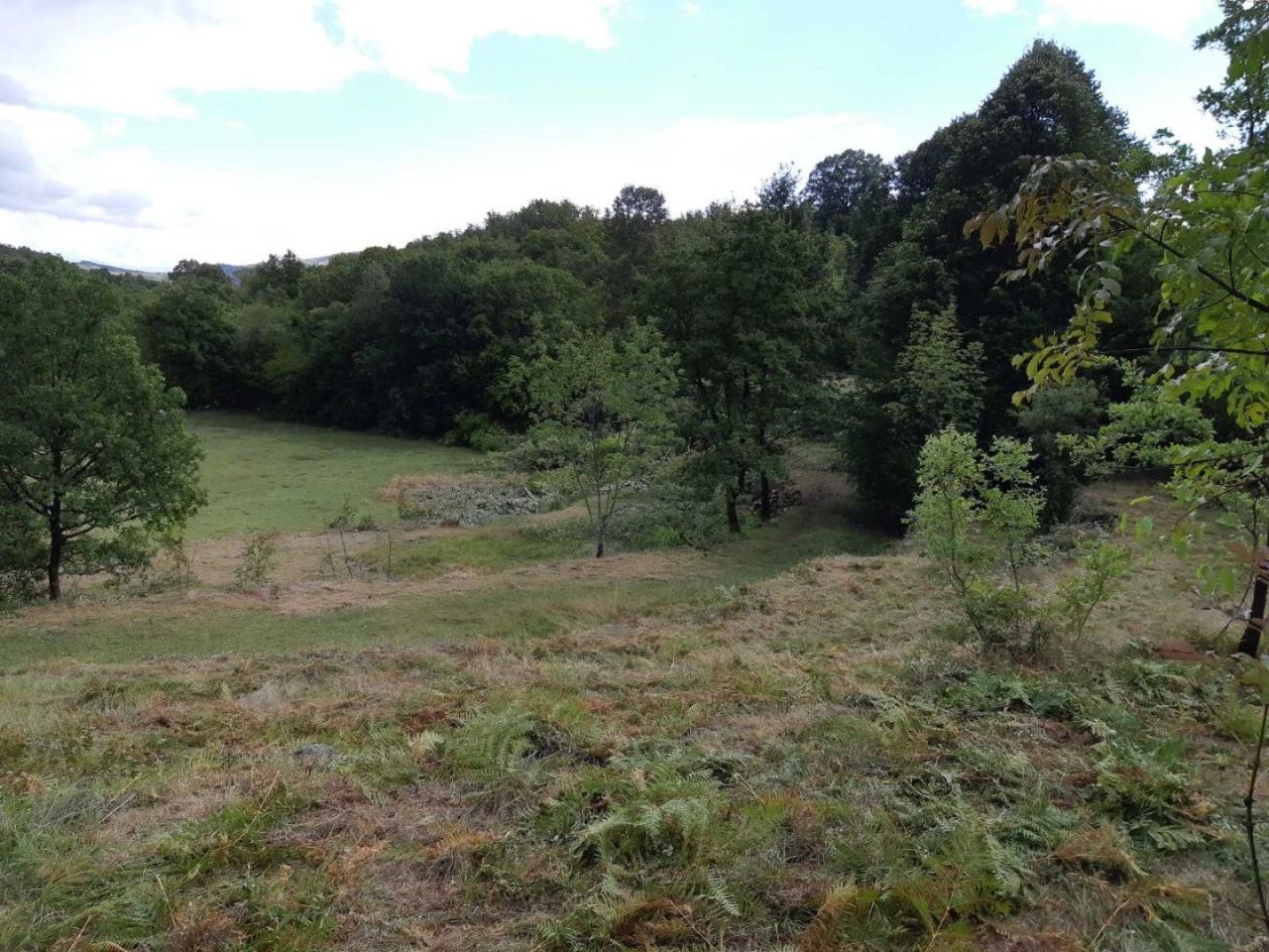 Terrain à Cetinje, Monténégro, 123 880 m² - image 10