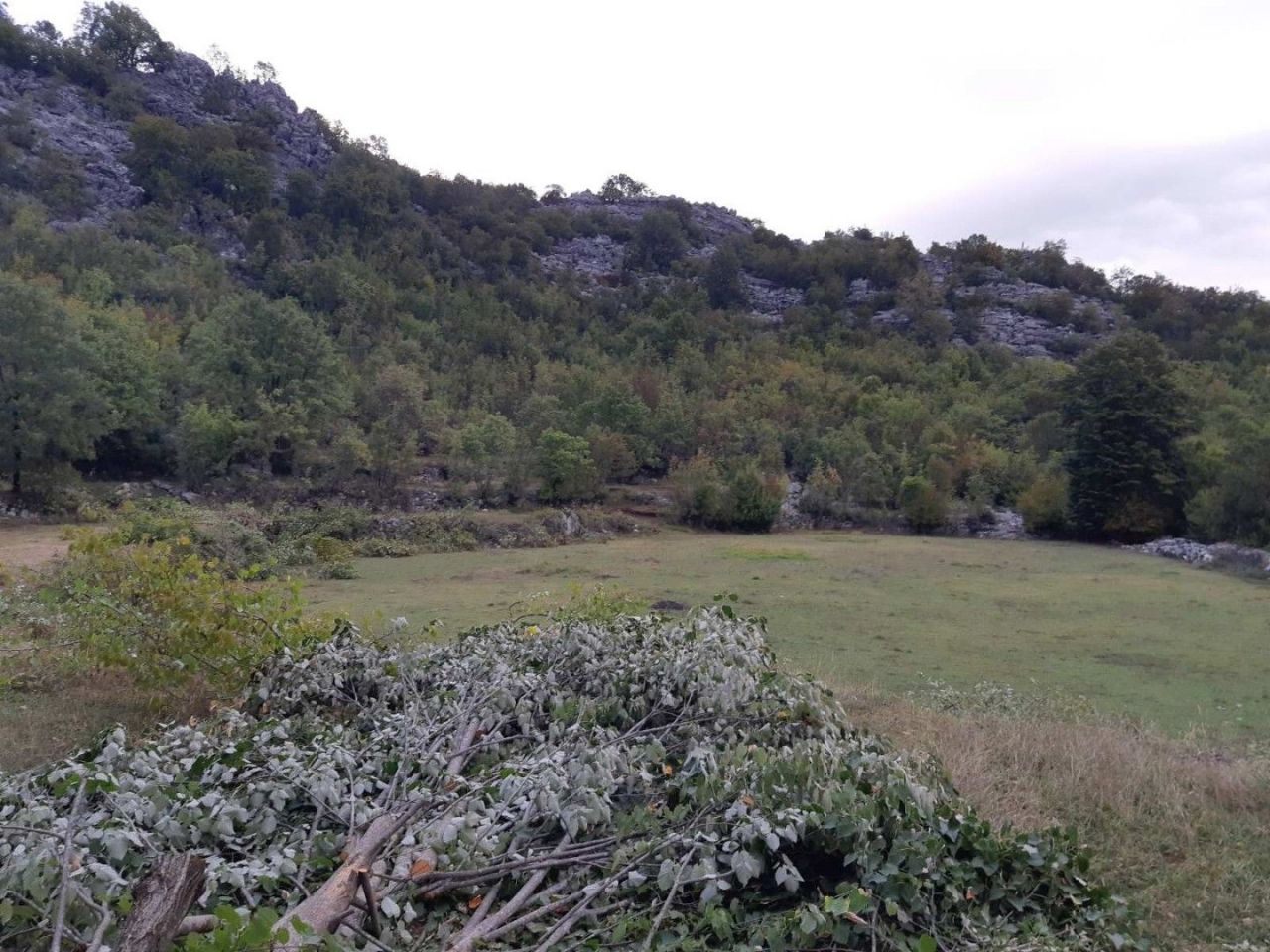 Terrain à Cetinje, Monténégro, 123 880 m² - image 14