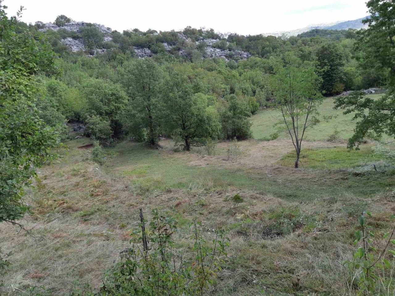 Terrain à Cetinje, Monténégro, 123 880 m² - image 15