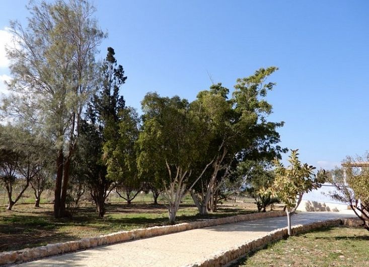 Villa in Paphos, Cyprus, 350 m² - picture 4