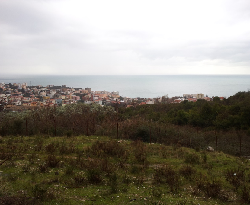 Grundstück in Dobra Voda, Montenegro, 8 500 m² - Foto 2