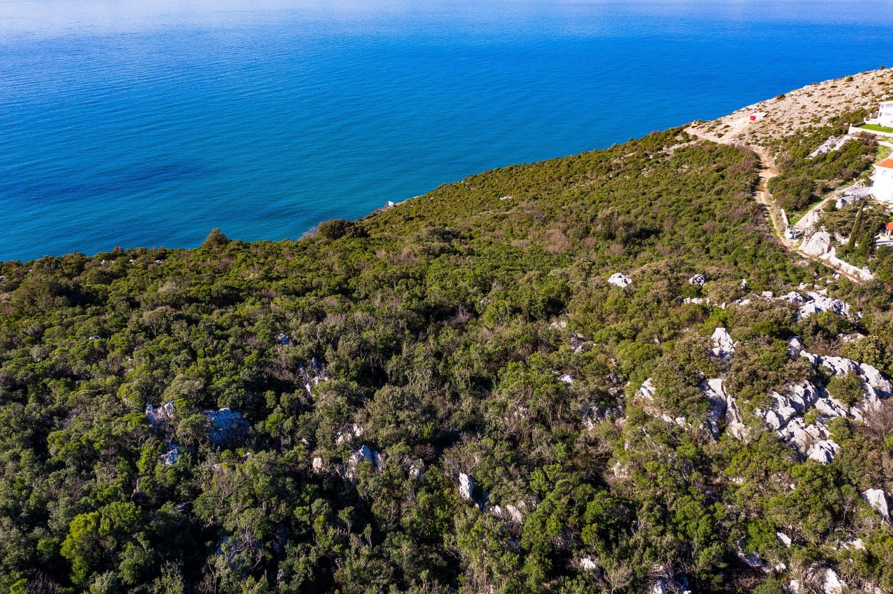 Land in Dobra Voda, Montenegro, 10 377 m² - picture 2