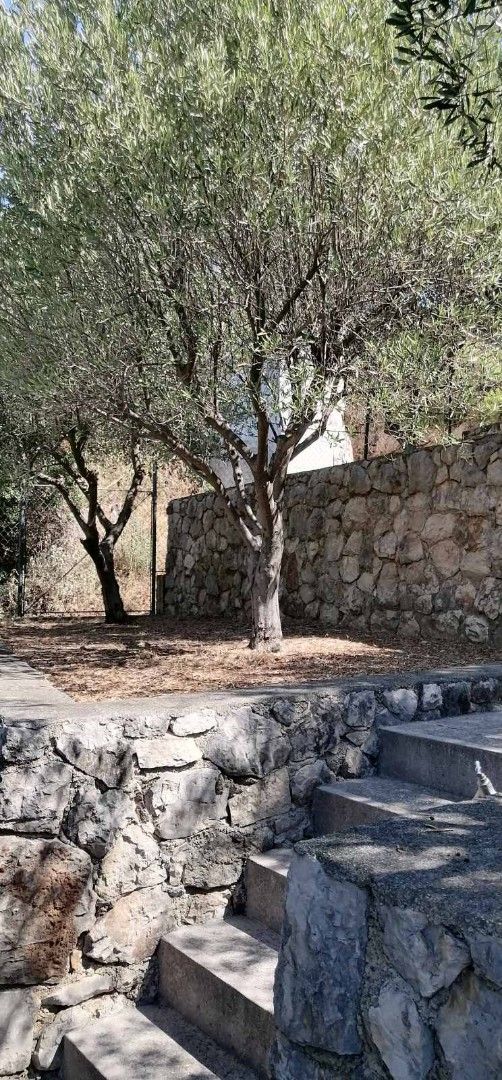 Villa in Dobra Voda, Montenegro, 250 m² - Foto 15