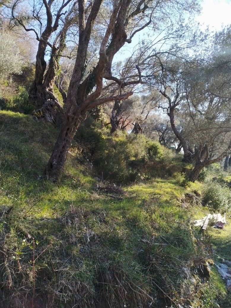 Terrain au Bar, Monténégro, 1 800 m² - image 1