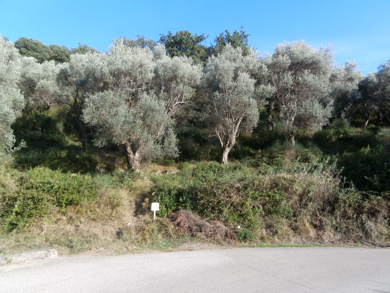 Terreno a Bar, Montenegro, 1 800 m2 - foto 5