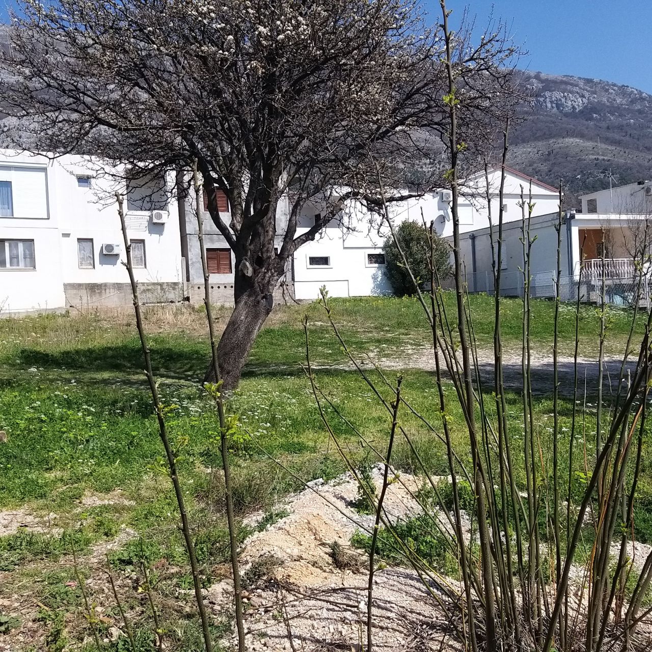 Terrain à Sutomore, Monténégro, 684 m² - image 3