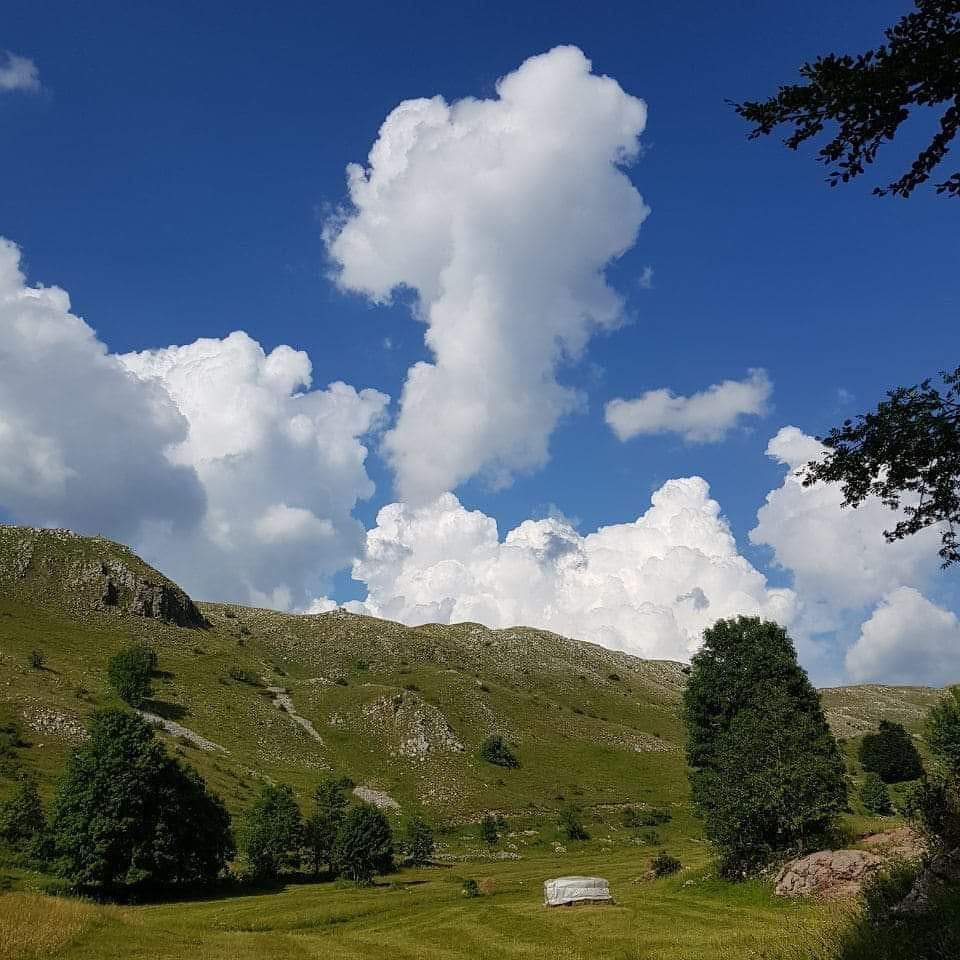 Terrain à Zabljak, Monténégro, 1 000 m² - image 2
