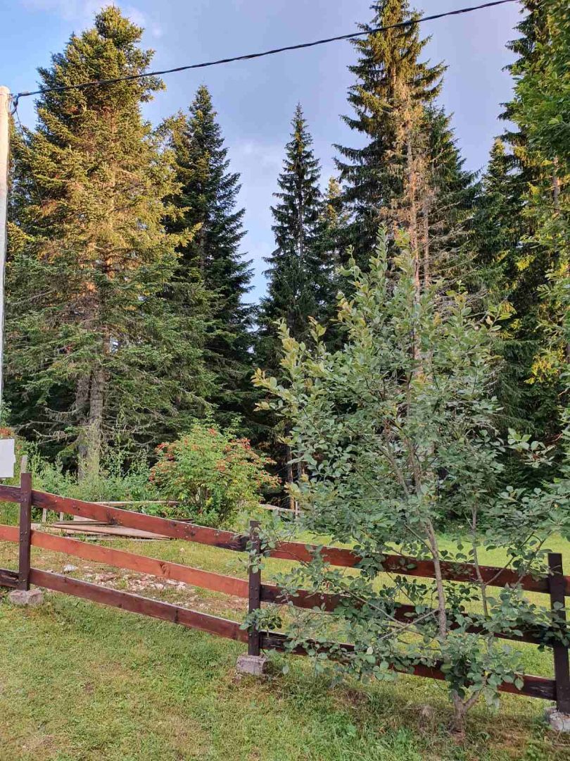 Gewerbeimmobilien in Zabljak, Montenegro - Foto 4