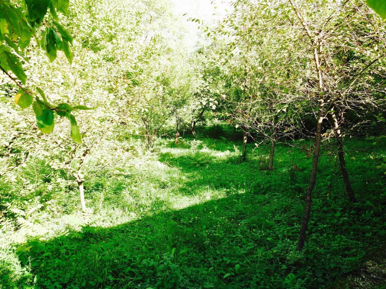 Terreno en Stoliv, Montenegro, 1 805 m² - imagen 6