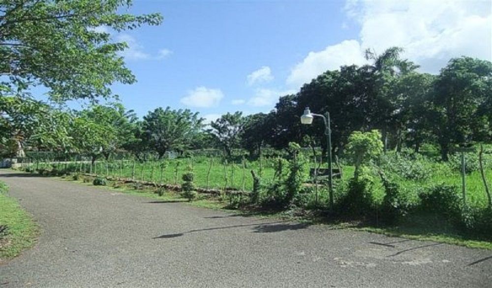 Grundstück in Cabarete, Dominikanische Republik, 1 900 m² - Foto 2