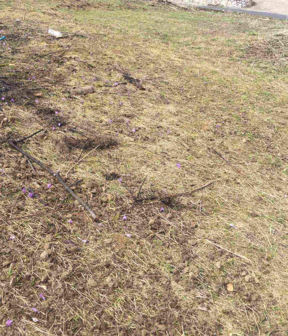 Terrain à Kolasin, Monténégro, 1 192 m² - image 3