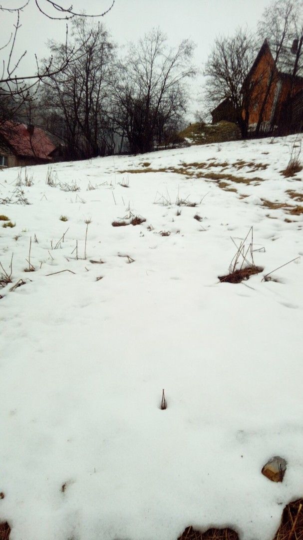 Terrain à Kolasin, Monténégro, 1 192 m² - image 4