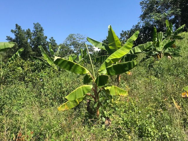 Terreno a Sosua, Repubblica Dominicana, 159 000 m2 - foto 7