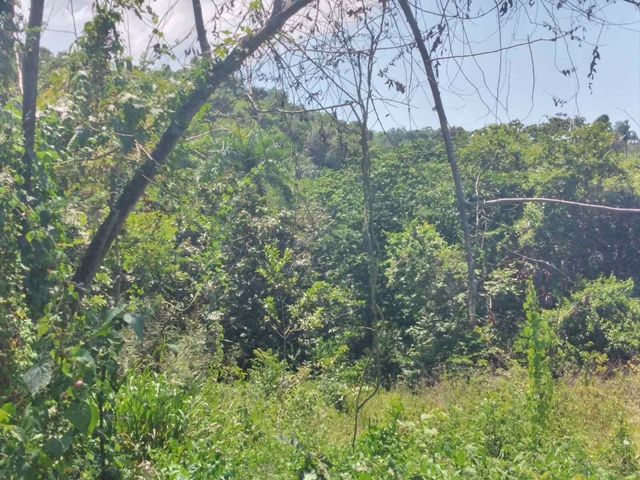 Terreno a Sosua, Repubblica Dominicana, 159 000 m2 - foto 11