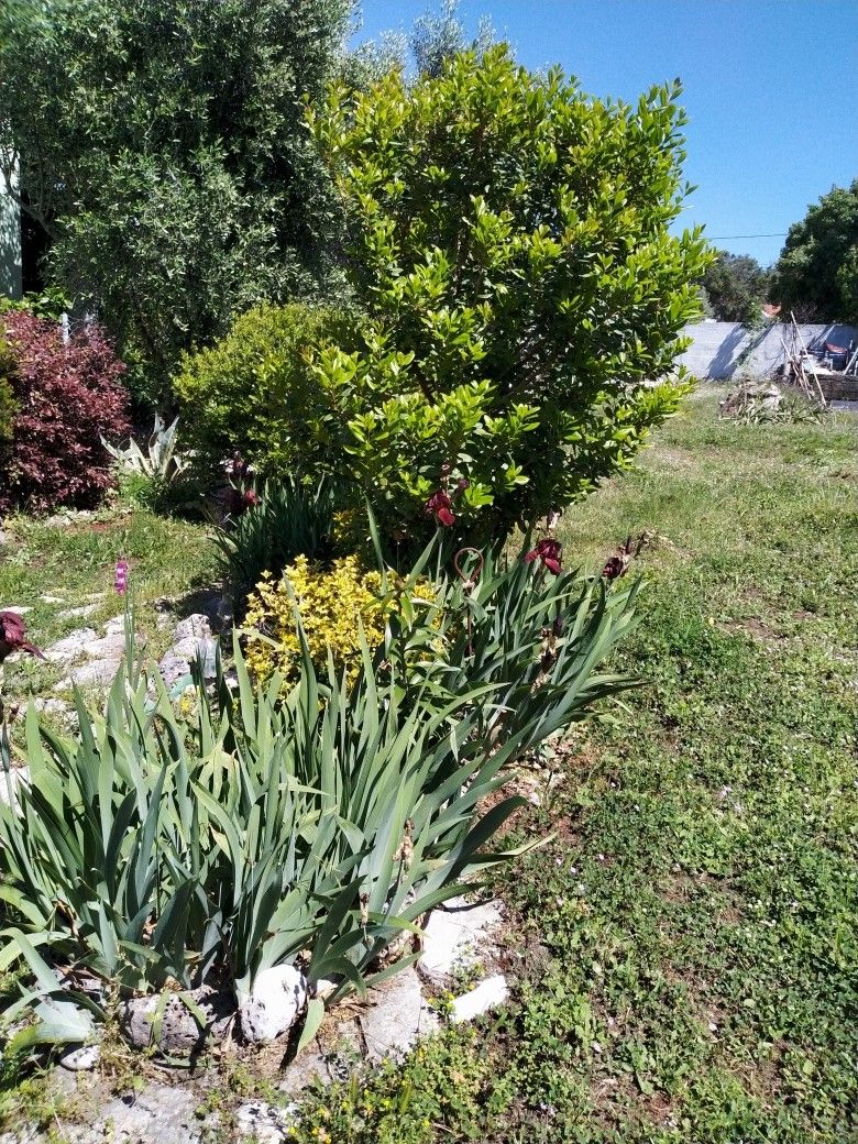 Terreno en Dobra Voda, Montenegro, 491 m² - imagen 3