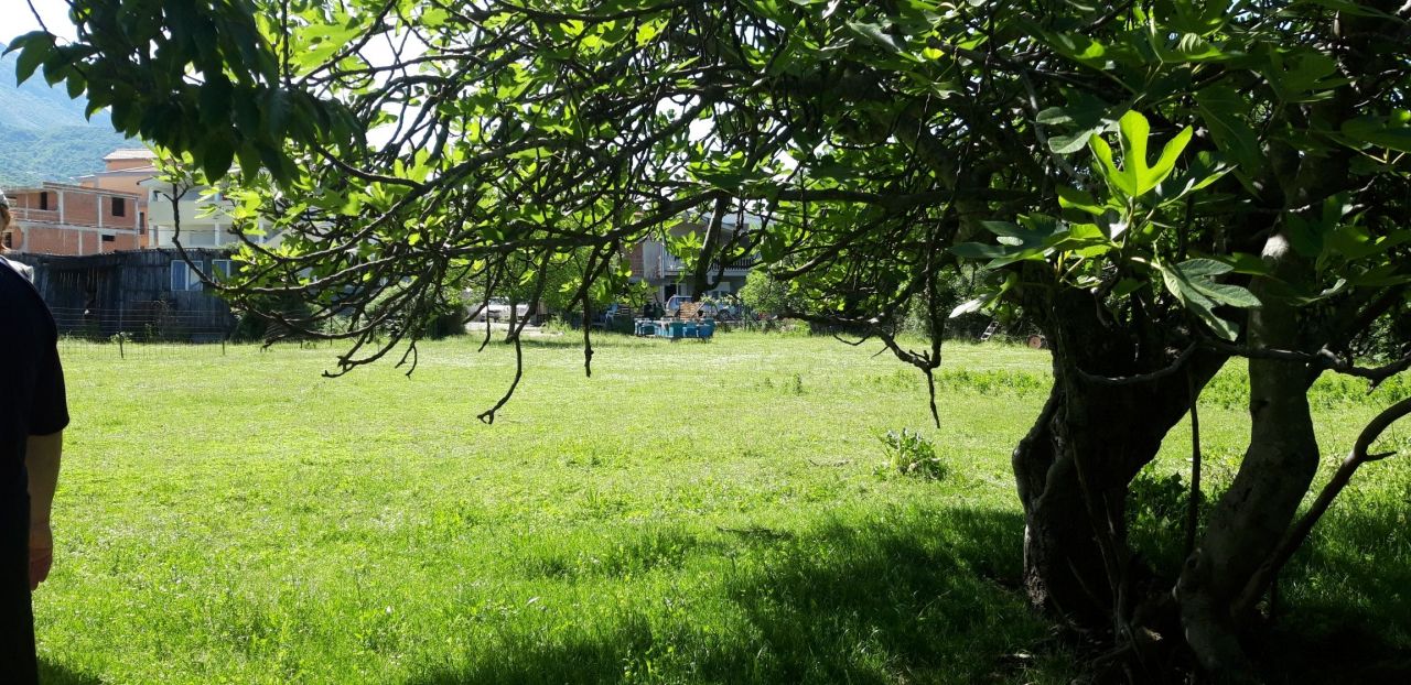 Terrain au Bar, Monténégro, 75 ares - image 7