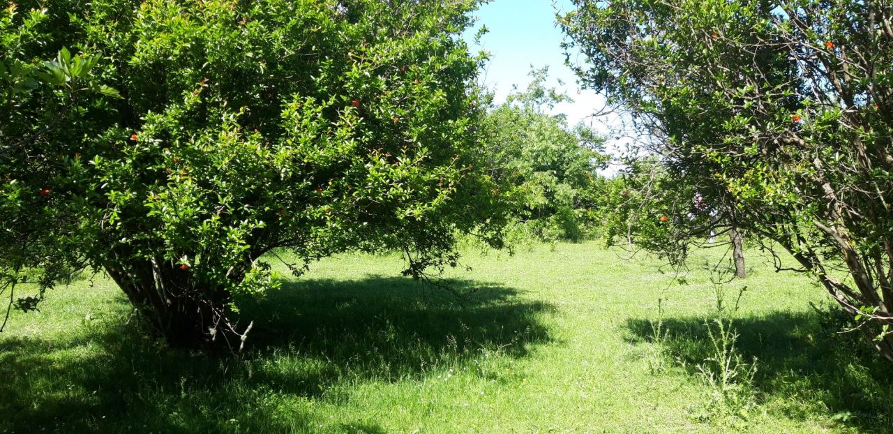 Terrain au Bar, Monténégro, 75 ares - image 5