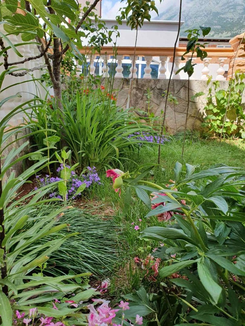 Casa a Dobra Voda, Montenegro, 340 m² - foto 4