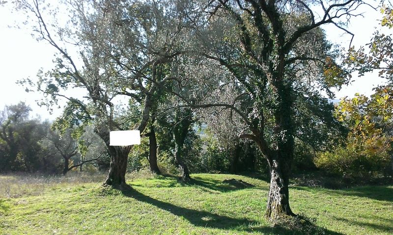 Terreno en Tivat, Montenegro, 1 468 m² - imagen 2