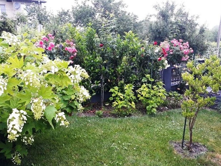 Casa en Osenovo, Bulgaria, 234 m² - imagen 13