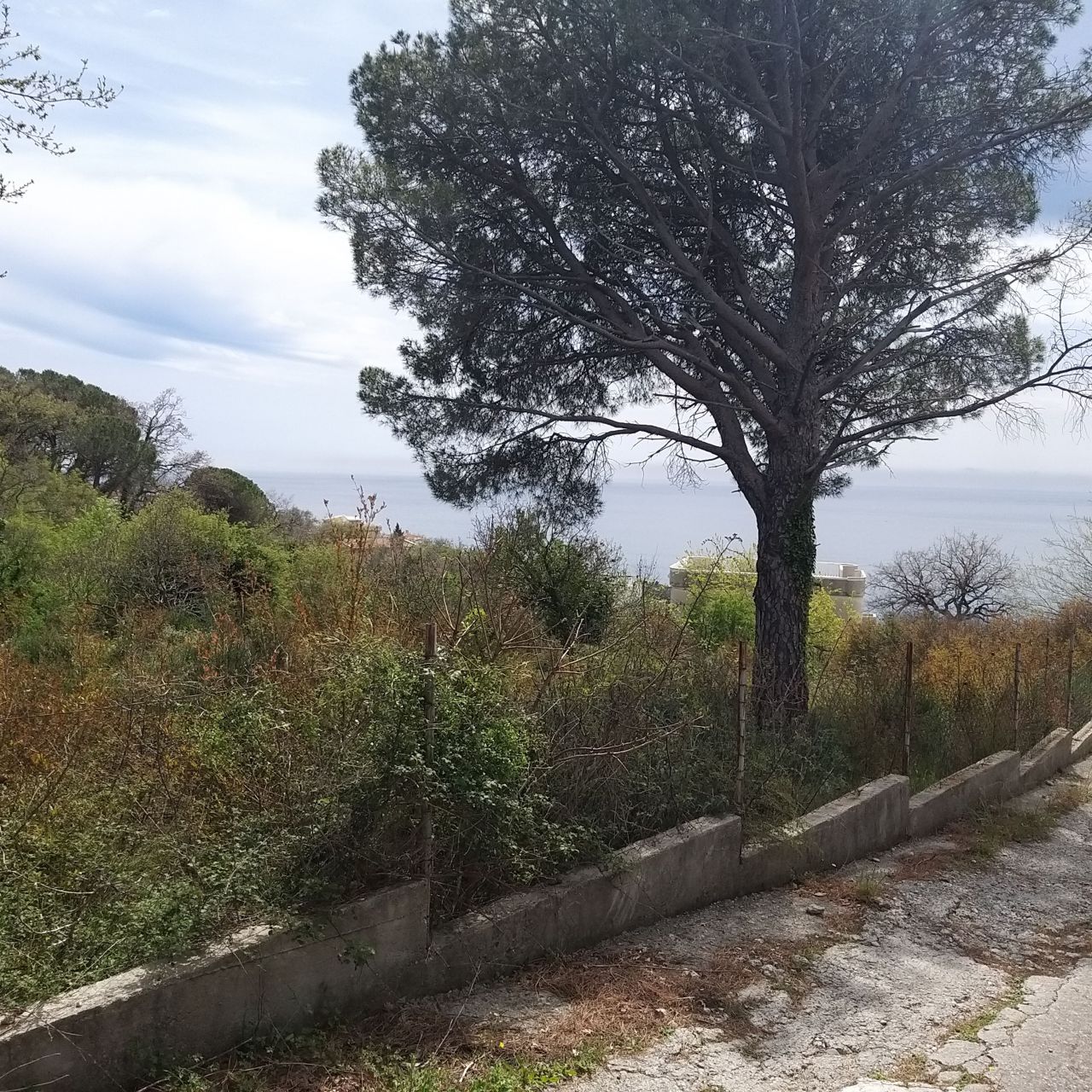 Land in Bar, Montenegro, 400 m² - picture 2