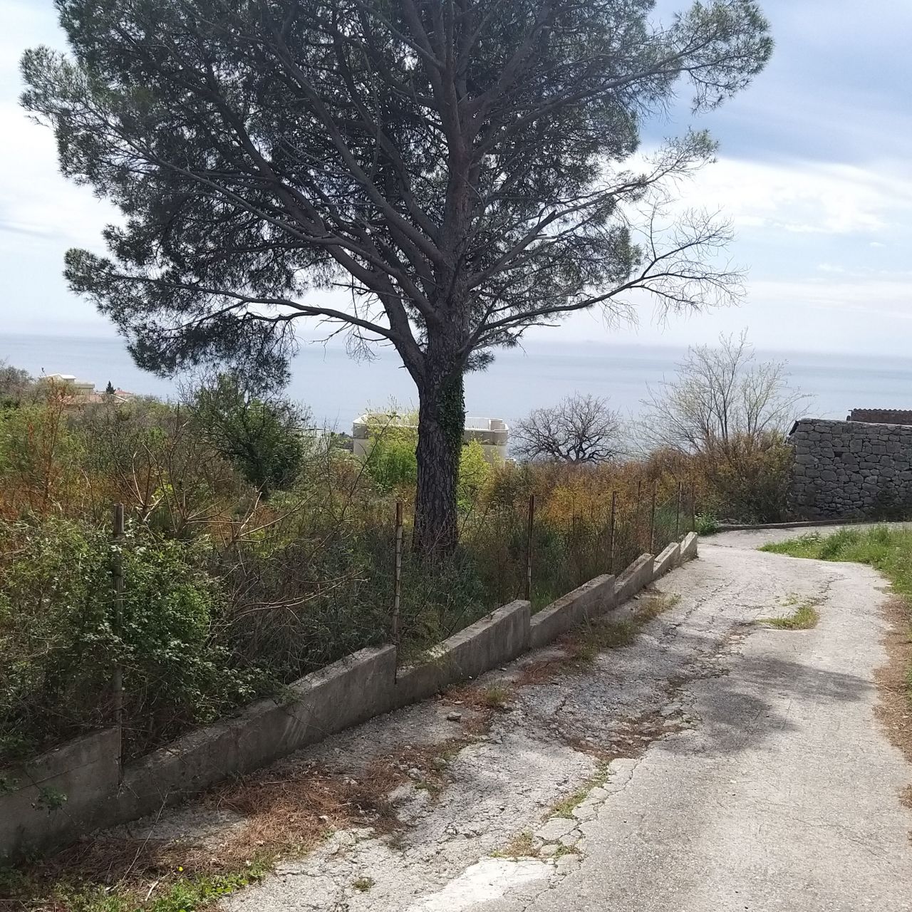 Land in Bar, Montenegro, 400 m² - picture 4