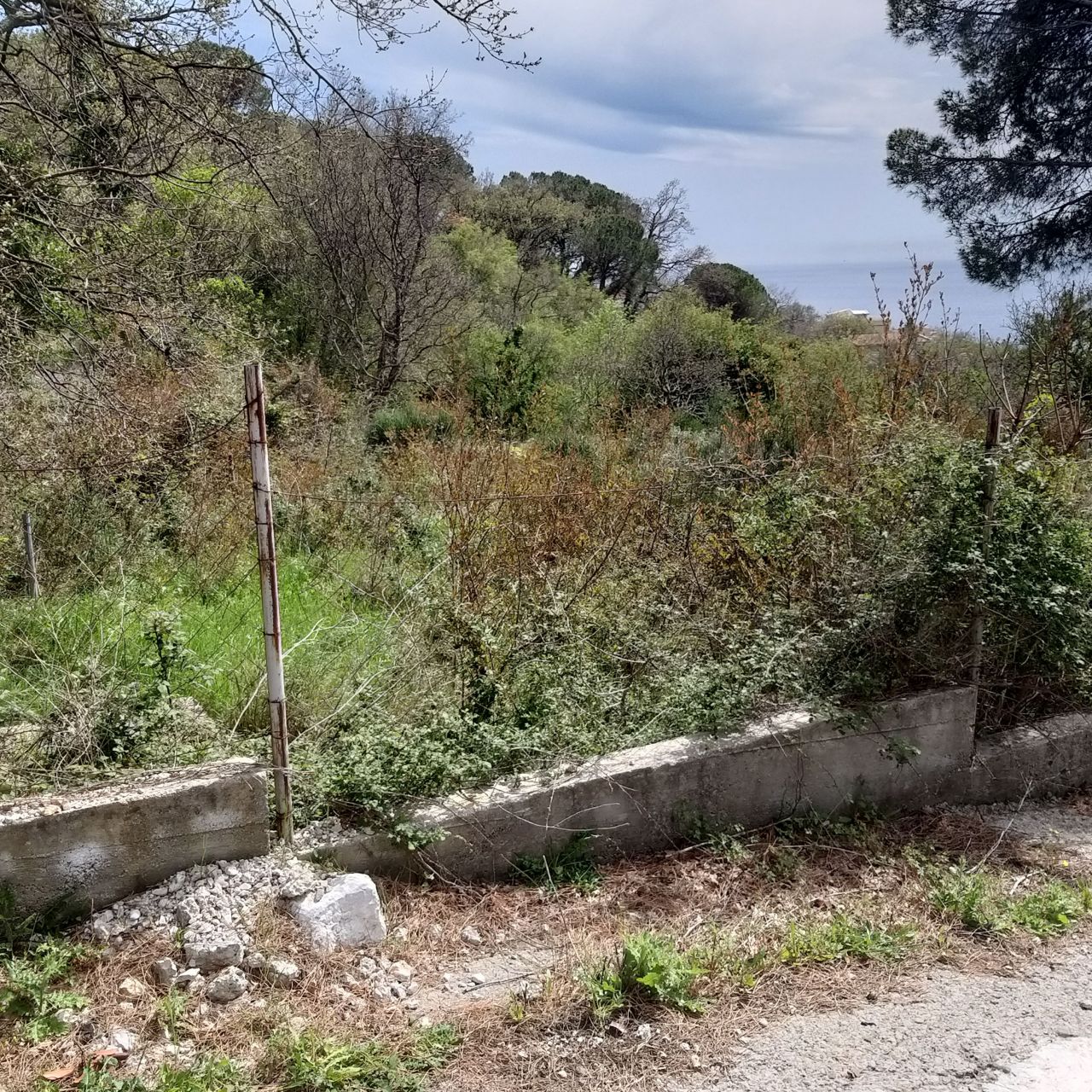 Land in Bar, Montenegro, 400 m² - picture 3