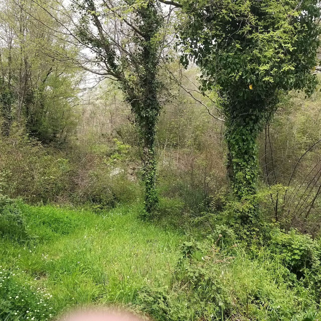 Land in Bar, Montenegro, 400 m² - picture 5