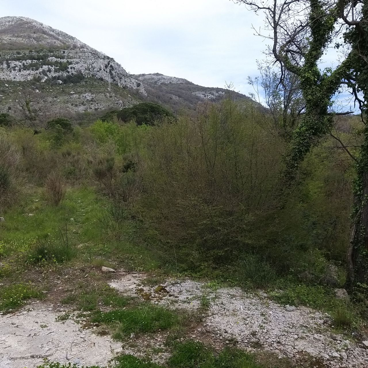 Land in Bar, Montenegro, 400 m² - picture 7