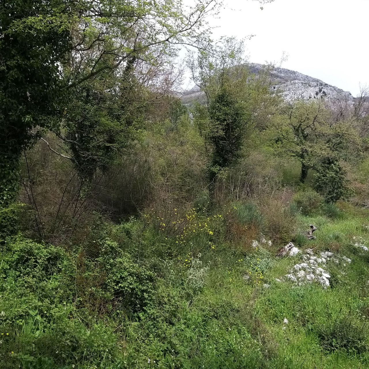 Land in Bar, Montenegro, 400 m² - picture 9