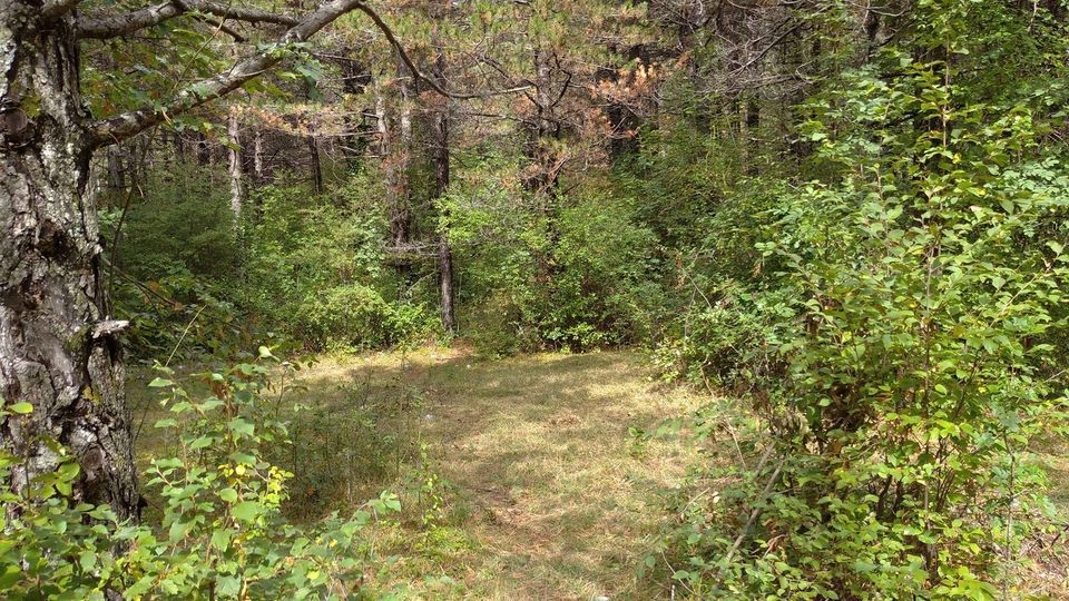 Grundstück in Herceg-Novi, Montenegro, 3 100 m² - Foto 4