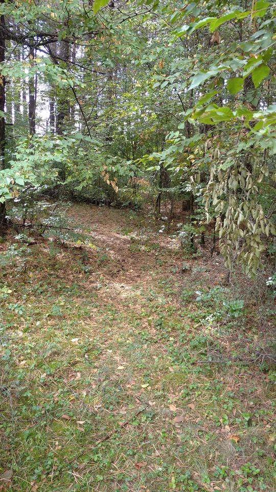 Grundstück in Herceg-Novi, Montenegro, 3 100 m² - Foto 6