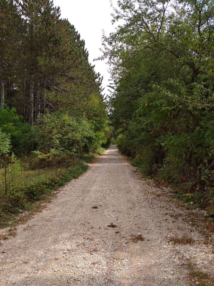 Grundstück in Herceg-Novi, Montenegro, 3 100 m² - Foto 9