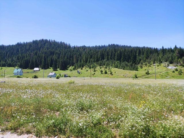 Terreno en Zabljak, Montenegro, 18 883 m² - imagen 1