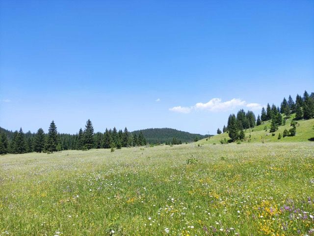 Grundstück in Zabljak, Montenegro, 18 883 m² - Foto 3