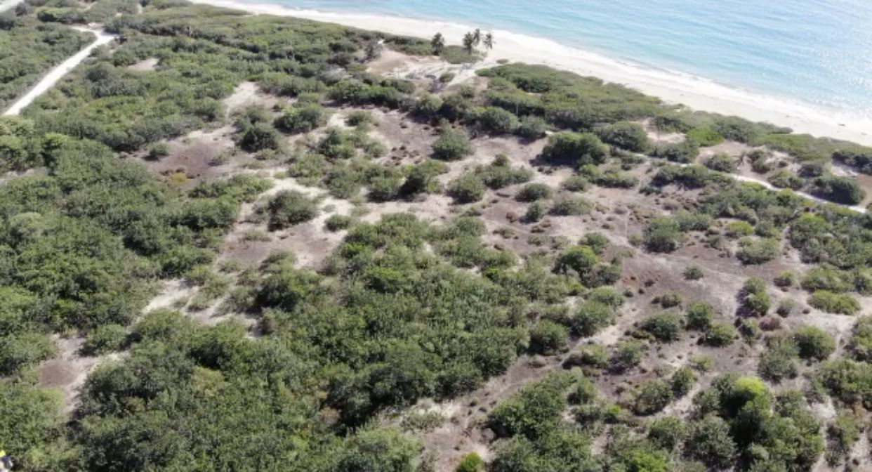 Terreno a Cabarete, Repubblica Dominicana, 85 000 m2 - foto 6