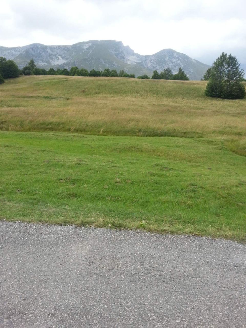 Land in Zabljak, Montenegro, 2.24 ha - picture 4