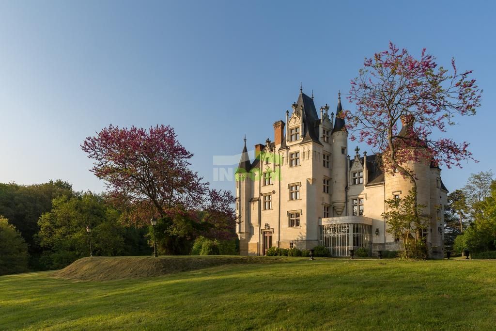 Schloß Dolina Luary, Frankreich, 1 200 m² - Foto 1