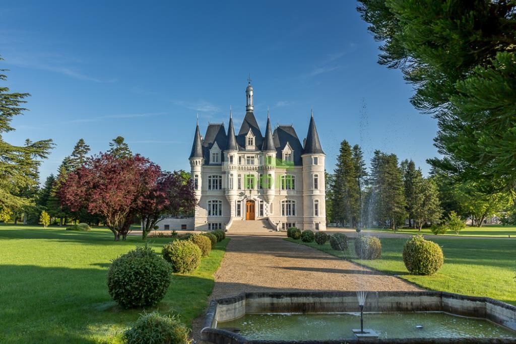 Castle Dolina Luary, France, 900 m² - picture 1