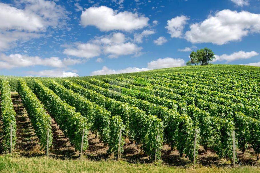 Commercial property in Bordeaux, France, 105 000 m² - picture 2