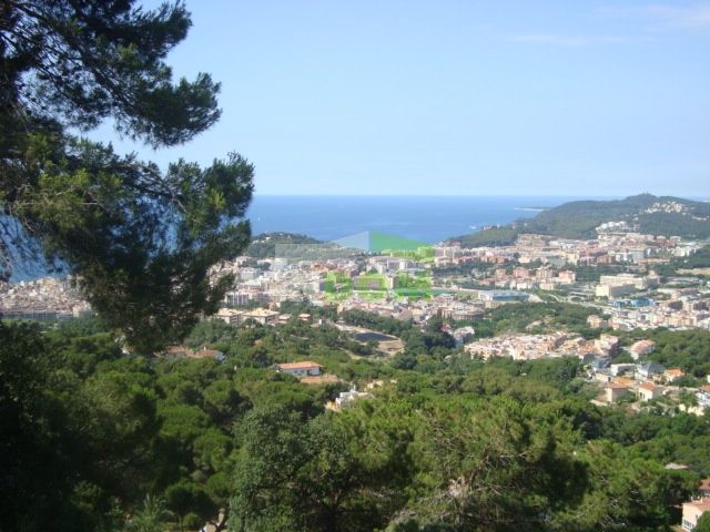 Haus in Costa Brava, Spanien, 195 m² - Foto 2